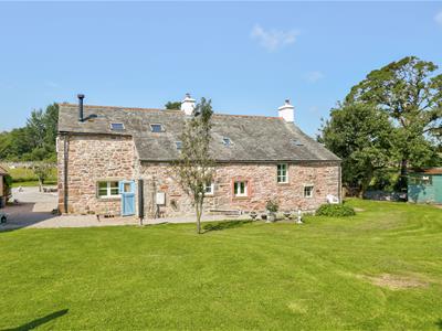 Picture 26
